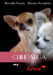 chihuahuamylove